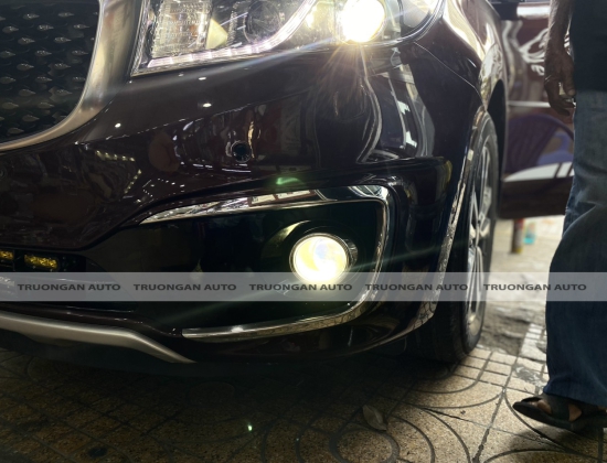 ĐỘ BI LED GẦM CHO XẾ YÊU KIA SEDONA 